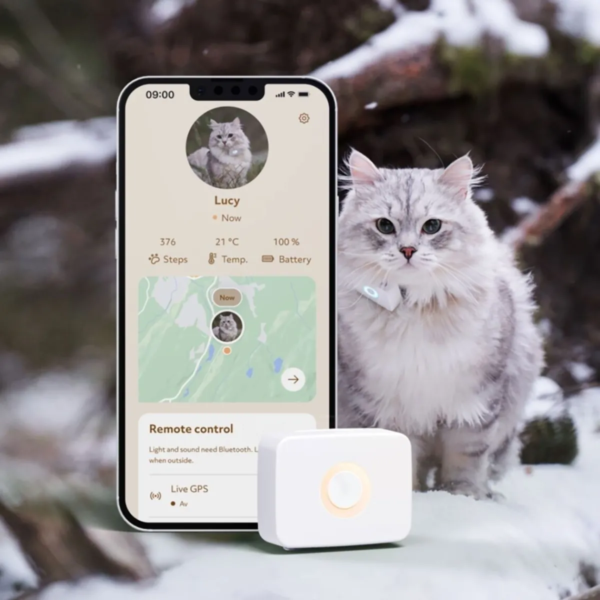 Kissan GPS>Lilcat Clearance