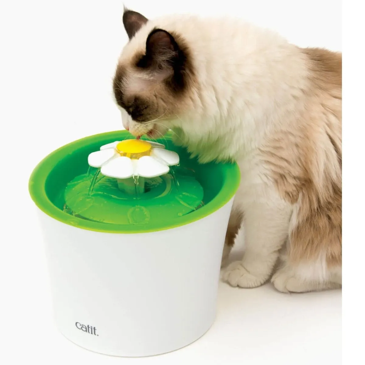 Kissan juoma-automaatti 2.0 Flower Fountain>Catit Outlet