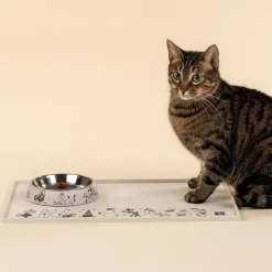 Kissankuppi for pets, Muumit 80v. juhlavuosi>Moomin New