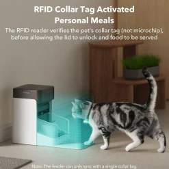 Kissan ruokinta-automaatti One RFID-lukijalla>Petlibro Discount
