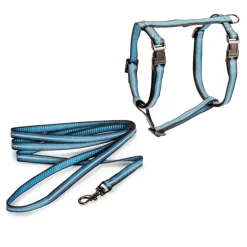 Kissan valjassetti Reflective>Basic Clearance