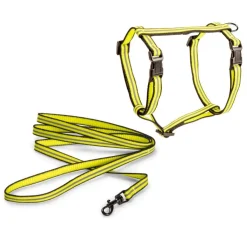 Kissan valjassetti Reflective>Basic Clearance