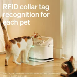 Kissojen juoma-automaatti Dockstream RFID Multi Cats>Petlibro Clearance