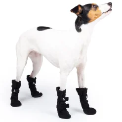 Koiran fleecetossut Paws 4kpl>Basic Online