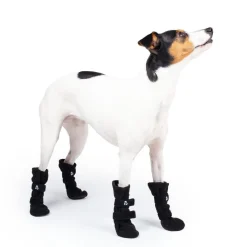 Koiran fleecetossut Paws 4kpl>Basic Online
