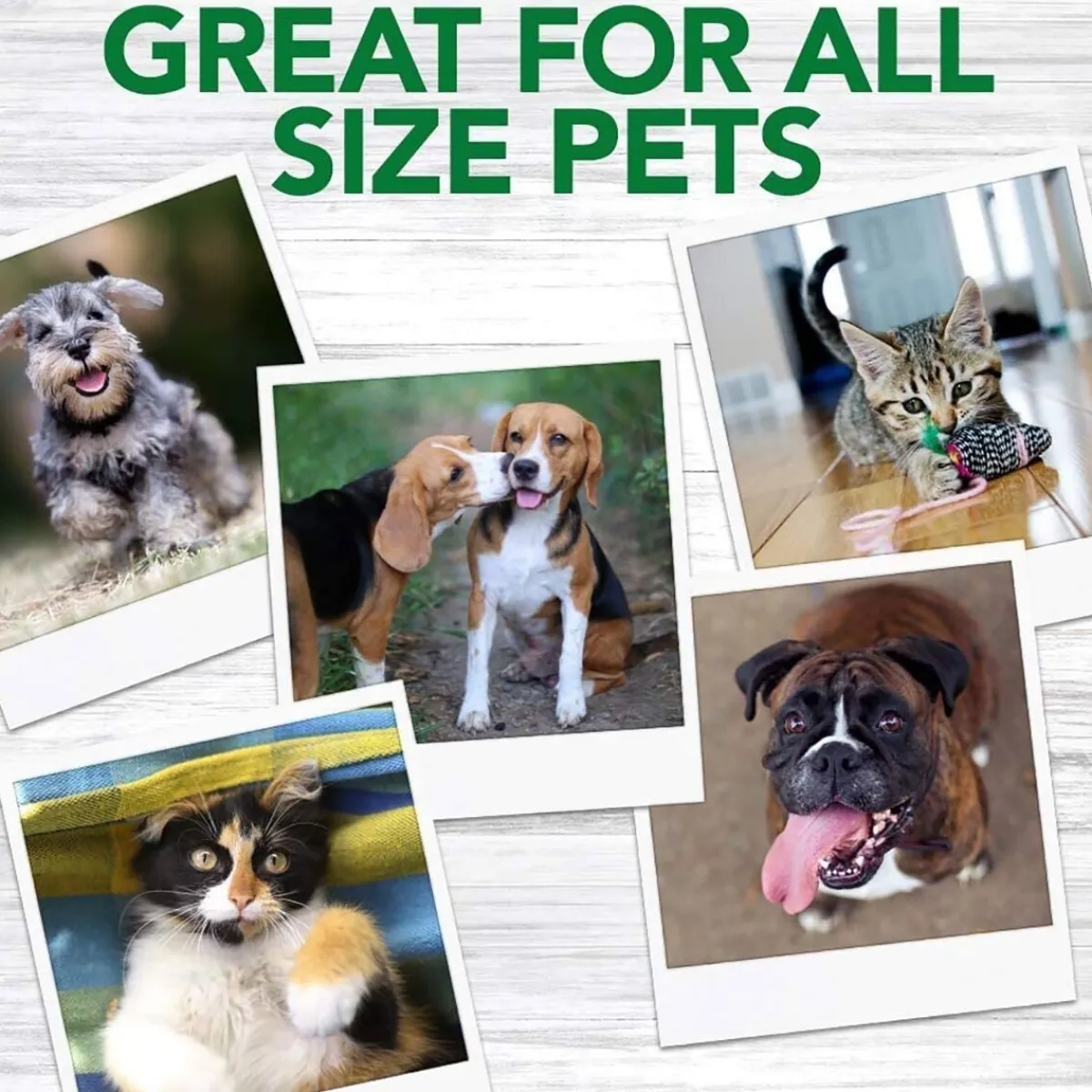 Koiran hammasharja Vet’s Best Triple-Headed>Vet's Best Discount