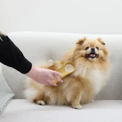 Koiran harja Dog Soft>MagicBrush