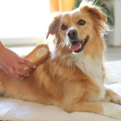 Koiran harja Dog Soft>MagicBrush