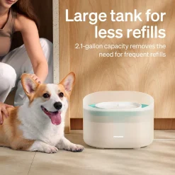 Koiran juoma-automaatti Capsule, valkoinen>Petlibro Clearance