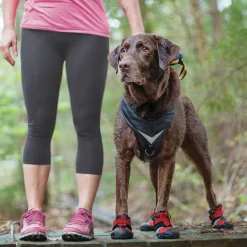 Koiran kengät Blaze Cross, 4 kpl>Kurgo