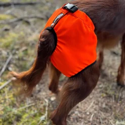 Koiran kivessuoja Kaapo,>Kardog New