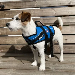 Koiran pelastusliivi Mascot, sininen>Baltic Hot