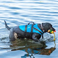 Koiran pelastusliivi Mascot, sininen>Baltic Hot