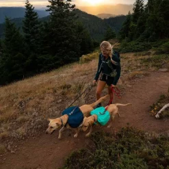 Koiran reppu Front Range, sininen>RuffWear Discount