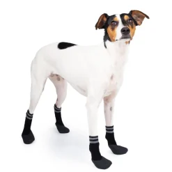 Koiran sukat Paws 4 kpl mustat>Basic Best