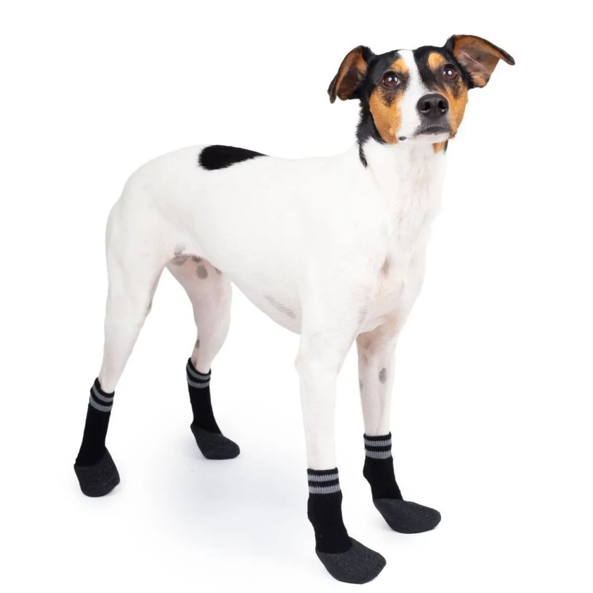 Koiran sukat Paws 4 kpl mustat>Basic Best