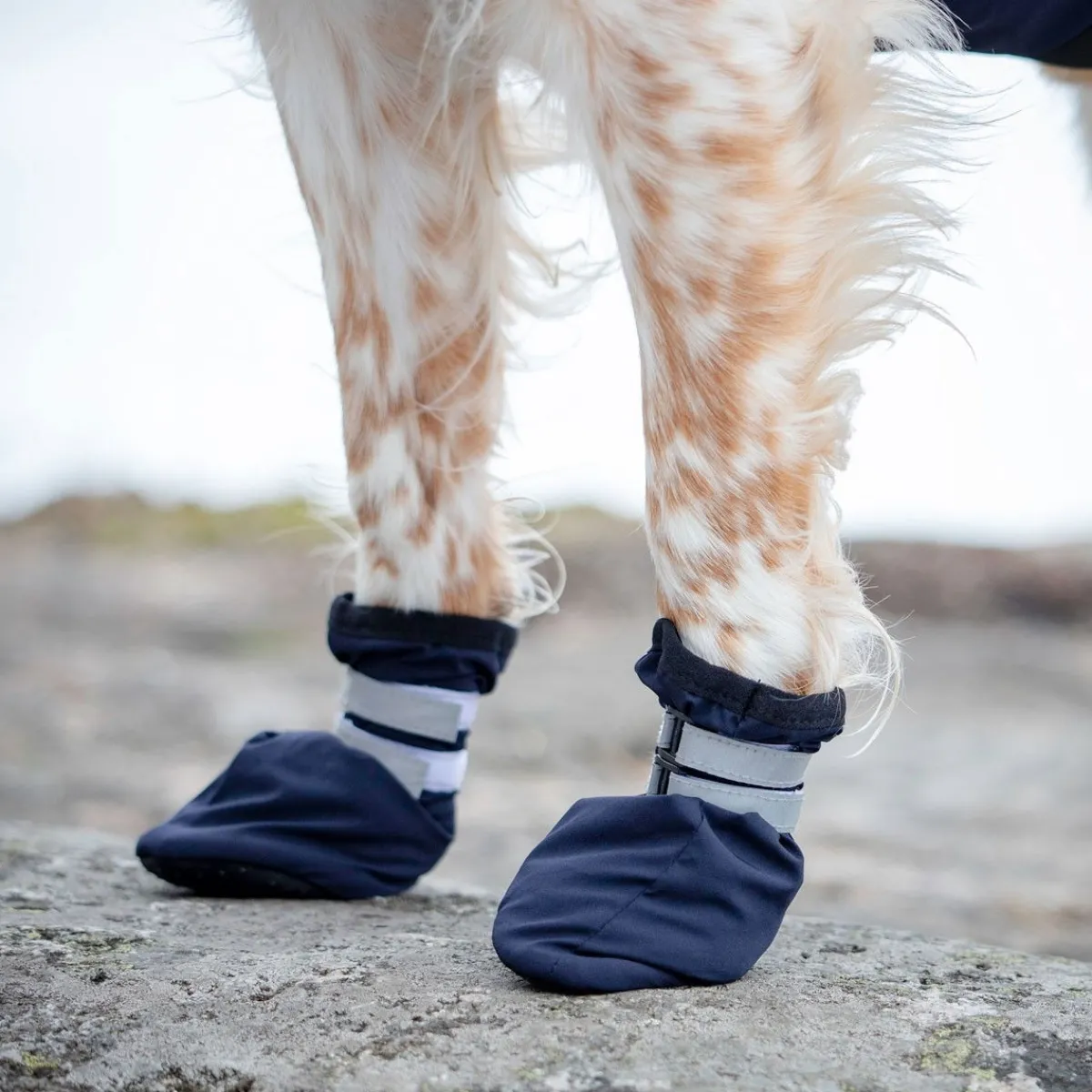 Koiran talvitossut Snow, 2 kpl>Feel Active Clearance