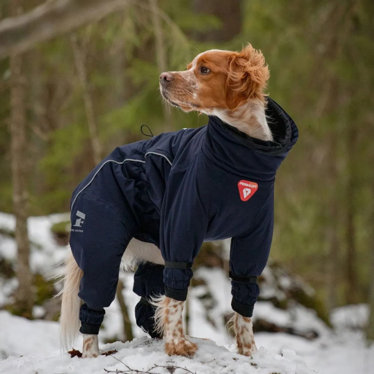 Koiran toppahaalari Snow>Feel Active Hot