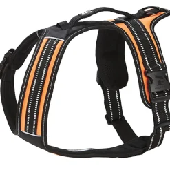 Koiran valjaat FA Sport, oranssi>Feel Active Online
