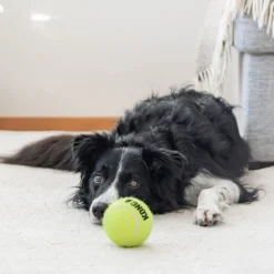 Airdog Squeaker Ball>Kong
