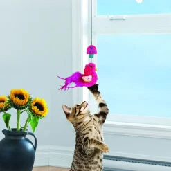 Cat Connects Window Teaser>Kong Clearance