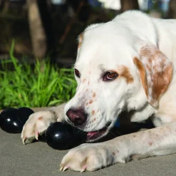 Extreme Goodie Bone, M>Kong Clearance