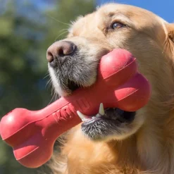 Goodie Bone M punainen>Kong Online