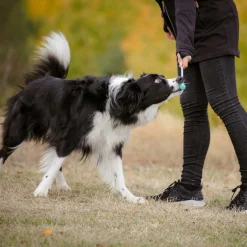Kosketuskeppi Target telesk.>Pro Dog Best
