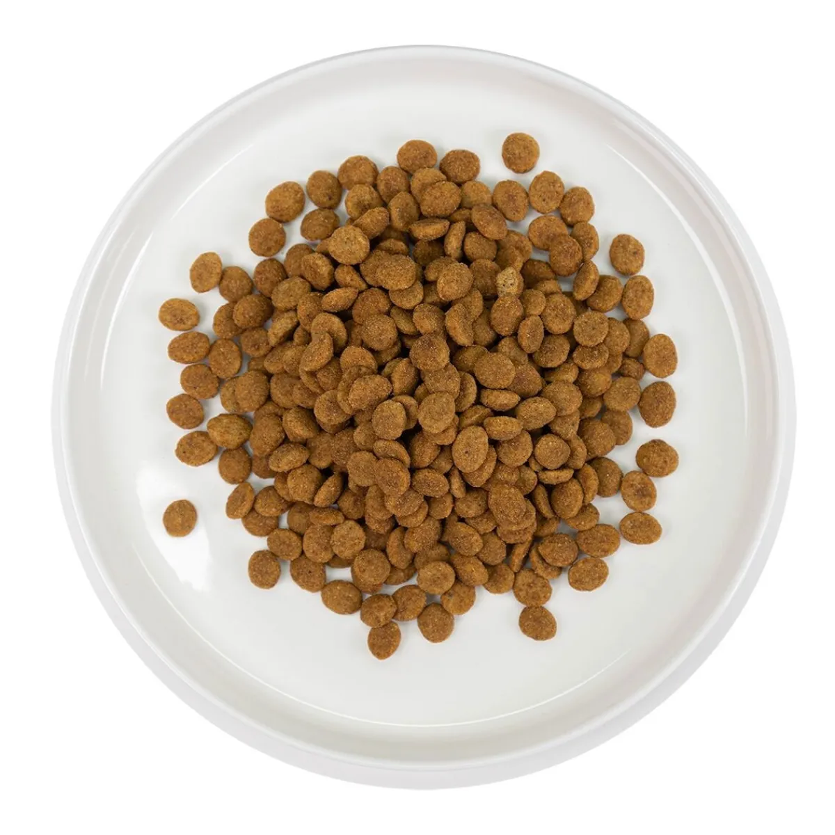 Kotikissa 1,4 kg>Sissi Clearance