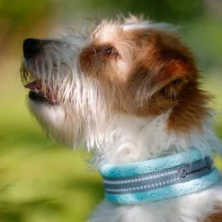extraleveä panta, merivesi kimalle>Kusse & Kutta Best