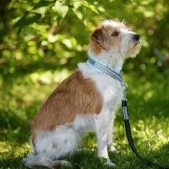 Kusse&Kutta kotimainen grip-hihna BGB-lukolla, 300 cm>Kusse & Kutta Best
