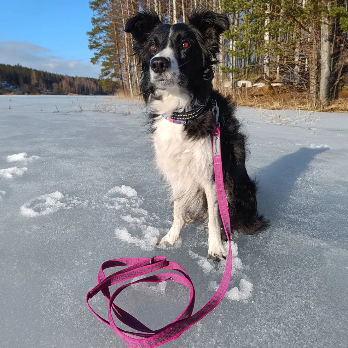 Kusse&Kutta kotimainen grip-hihna BGB-lukolla, 300 cm>Kusse & Kutta Best