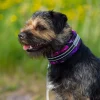 Kusse&Kutta lycra-panta, violetit kukat>Kusse & Kutta Outlet