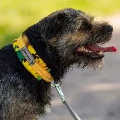 Kusse&Kutta puolikiristävä panta, auringonkukka>Kusse & Kutta Discount