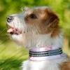 puolikiristävä panta, hento ruusu>Kusse & Kutta New