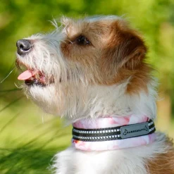 puolikiristävä panta, hento ruusu>Kusse & Kutta New