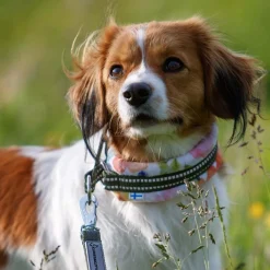 Kusse&Kutta puolikiristävä pehmopanta, puutarhakukat>Kusse & Kutta Clearance