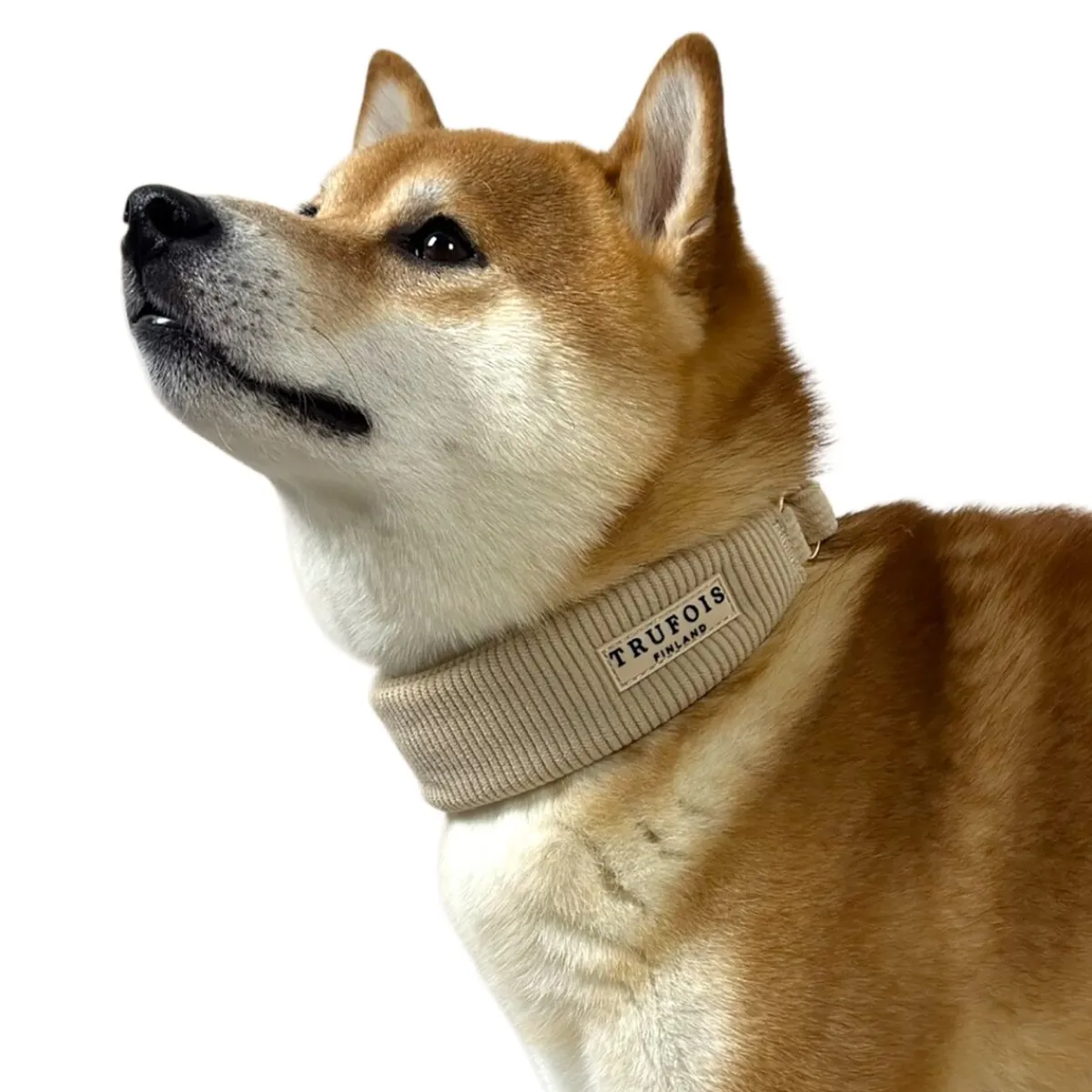 Leveä kaulapanta , latte beige>Trufois Sale