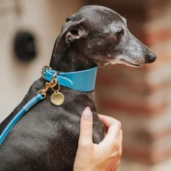 Leveä solkipanta , neonsininen>Collar of Sweden Sale