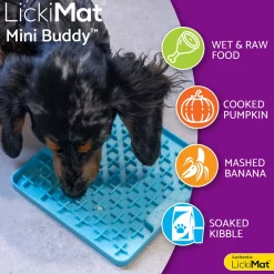 Mini Buddy nuolumatto, turkoosi>LickiMat Online
