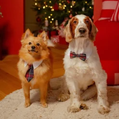 Festive solmuke ruutukuvio>Little&Bigger Clearance