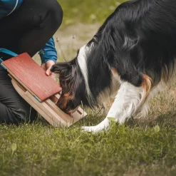 Mani-Pedi raapimalauta koiralle>Loype