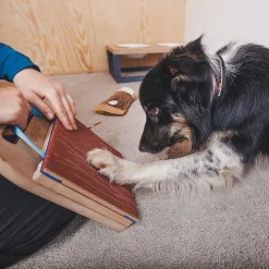 Mani-Pedi raapimalauta koiralle>Loype