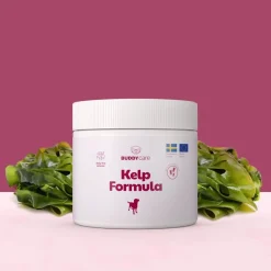 Merilevä koiralle Care Kelp Formula 250 g>Buddy New