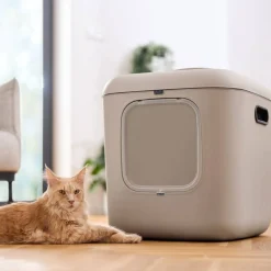 MyPet Biala Kissanvessa XL>Rotho