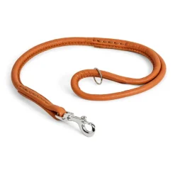 Nahkainen näyttelyhihna , 60 cm>Show Dog Online
