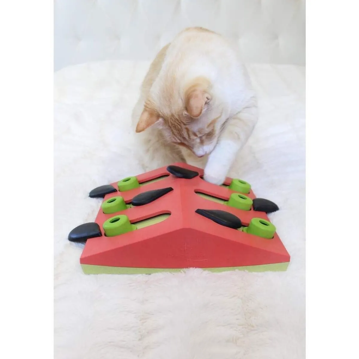 Cat Melon Madness Puzzle and Play punainen>Nina Ottosson Online