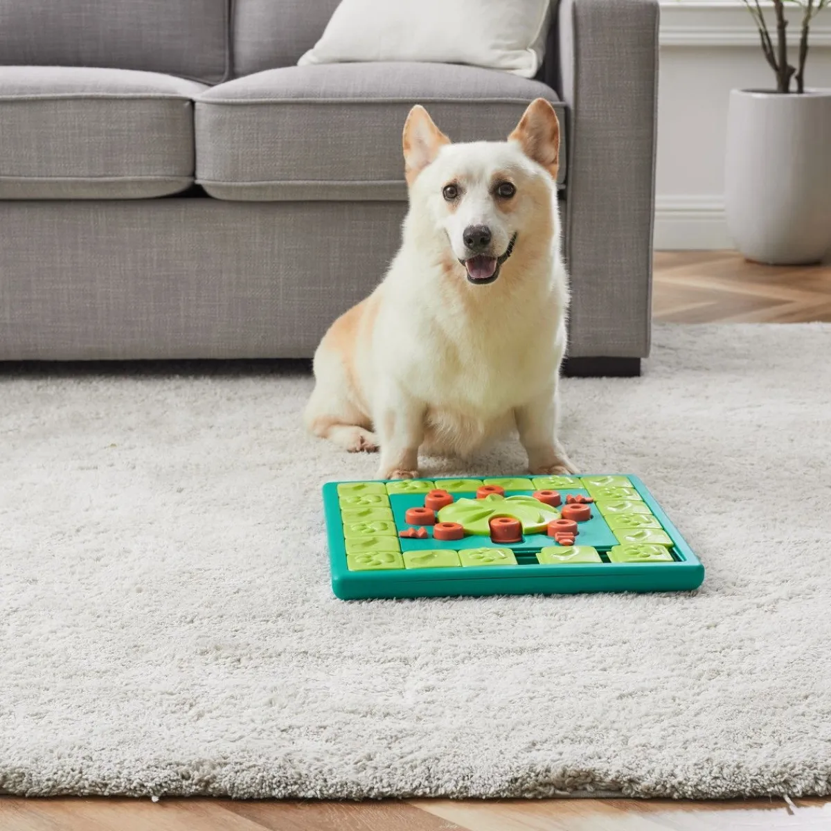 Dog MultiPuzzle vihreä>Nina Ottosson Best