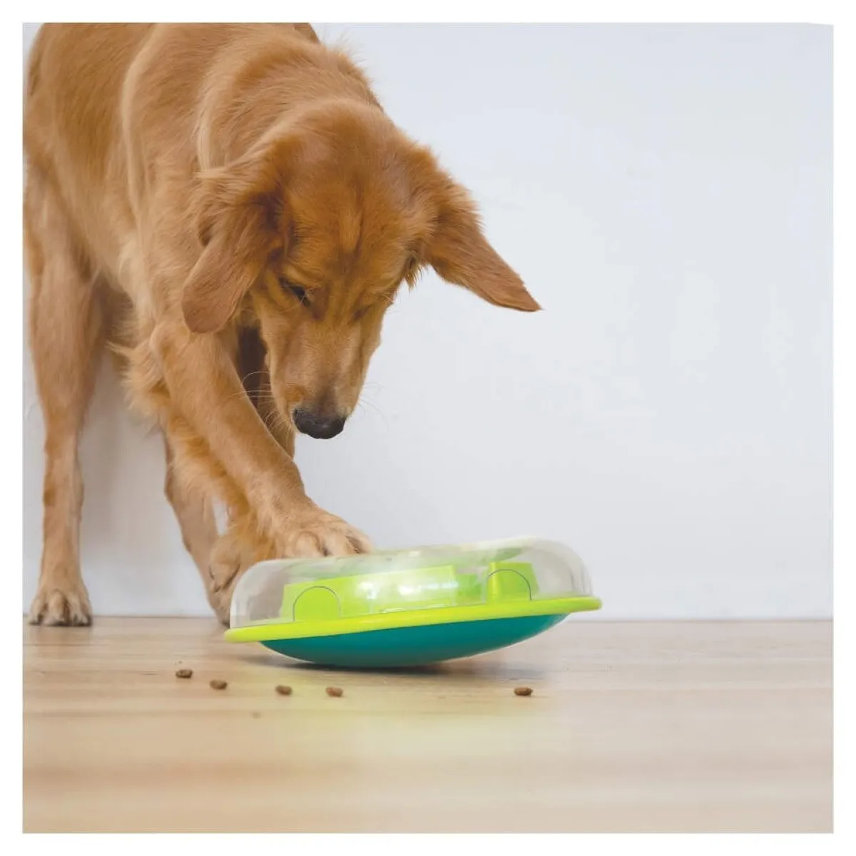 Dog Wobble Bowl lime>Nina Ottosson New