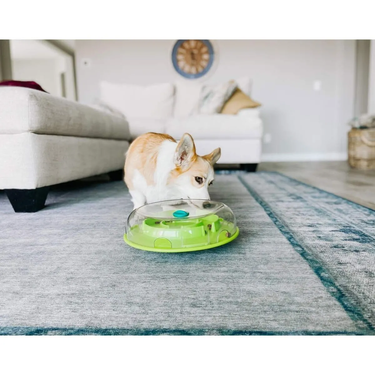 Dog Wobble Bowl lime>Nina Ottosson New